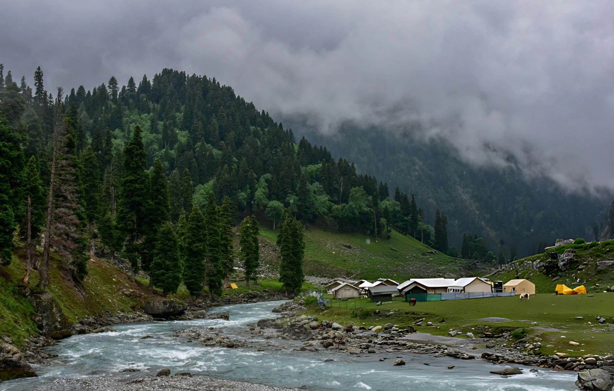 SONAMARG MEADOW