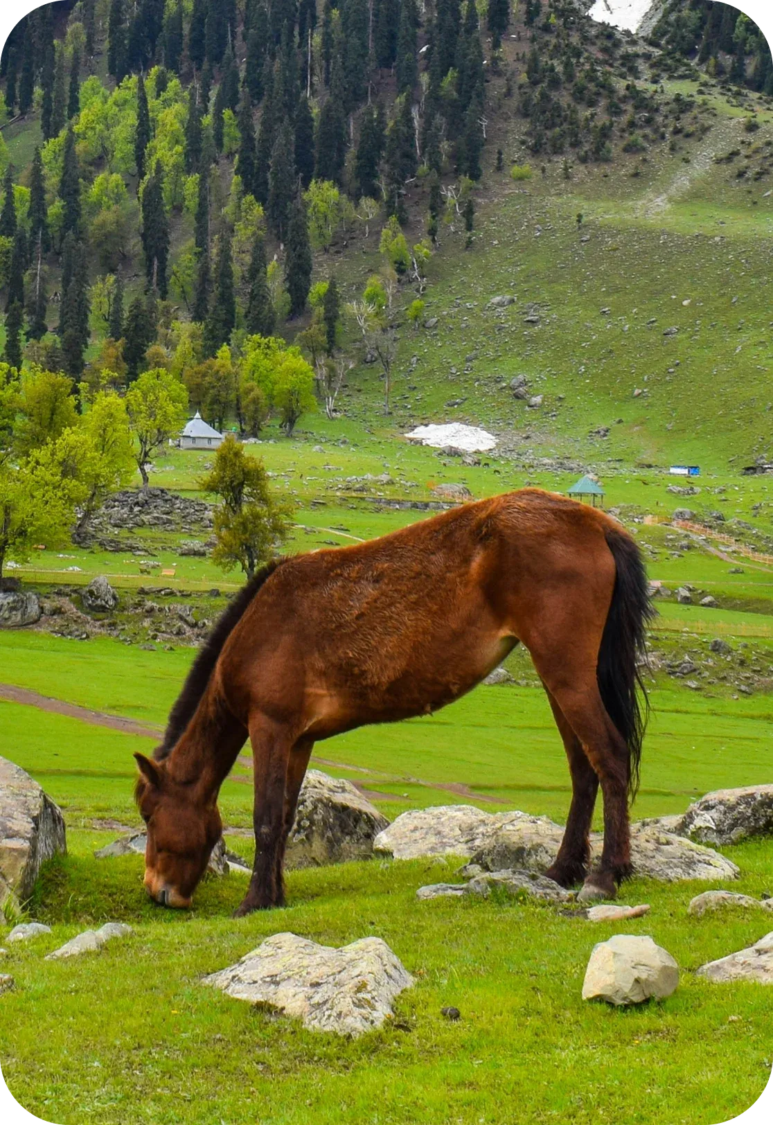 Scenic view of Doodhpathri