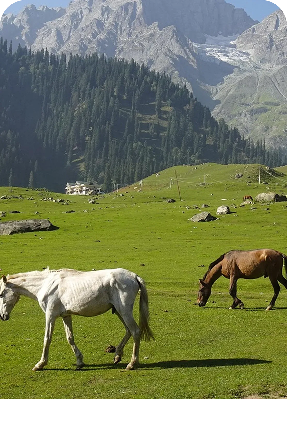 Scenic view of Yusmarg